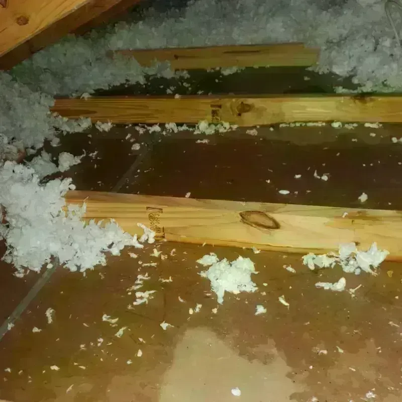 Attic Water Damage in Graham, WA