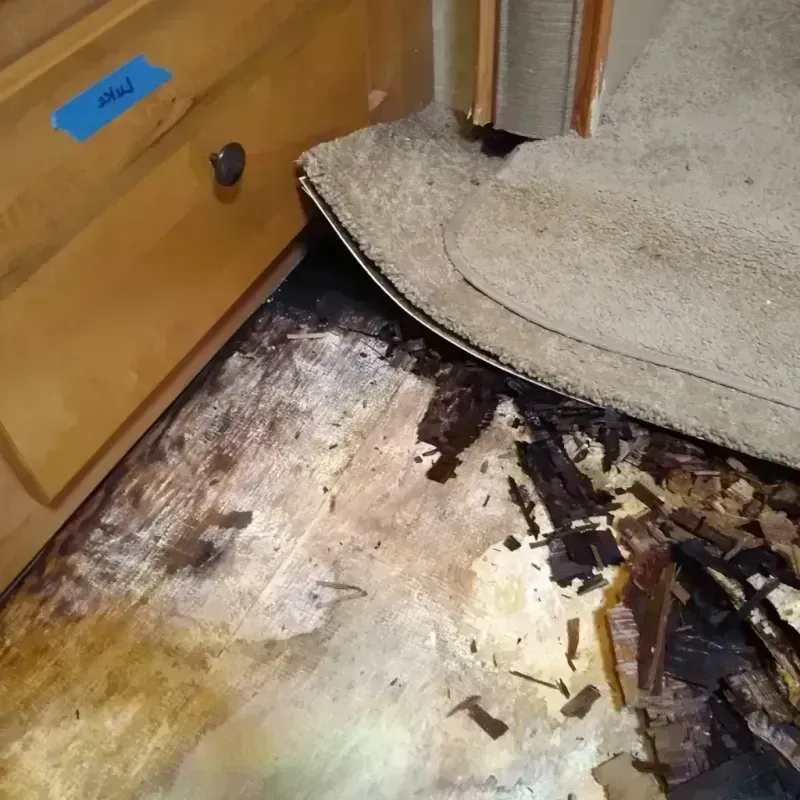 Wood Floor Water Damage in Graham, WA